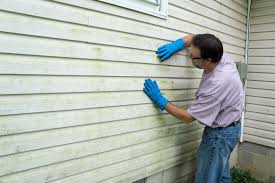 Best Historical Building Siding Restoration  in Macungie, PA